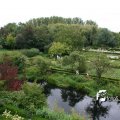 IMG_819269