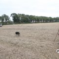 IMG_820477