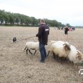 IMG_820480