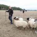 IMG_820481