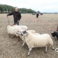 IMG_820482