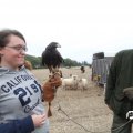 IMG_820497