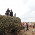 IMG_820555