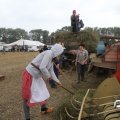 IMG_820560