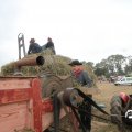 IMG_820570