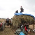 IMG_820576