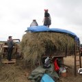 IMG_820577