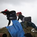 IMG_820582