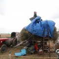 IMG_820595