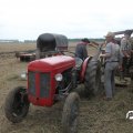 IMG_820597