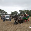 IMG_820598