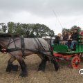 IMG_820601