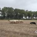 IMG_820608