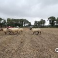 IMG_820612