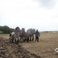 IMG_820613