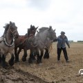 IMG_820616