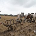 IMG_820626