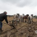 IMG_820628