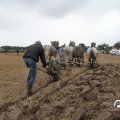 IMG_820630