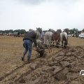 IMG_820631