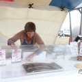 IMG_820650