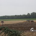 IMG_820744