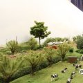 IMG_819366
