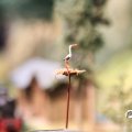 IMG_819448