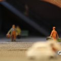IMG_819505