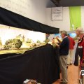IMG_819545