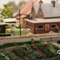 IMG_819605