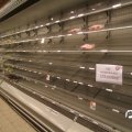 IMG_820884