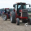 IMG_821495