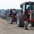 IMG_821496