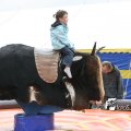IMG_821786
