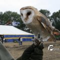 IMG_821800