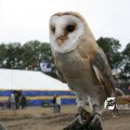 IMG_821801