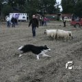 IMG_821802
