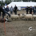 IMG_821803