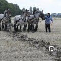 IMG_821805