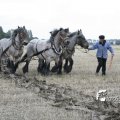 IMG_821807