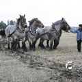 IMG_821808