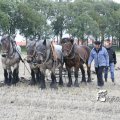 IMG_821809