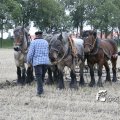 IMG_821810