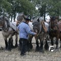 IMG_821811