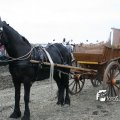 IMG_821812