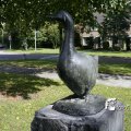 IMG_821868