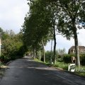 IMG_821903