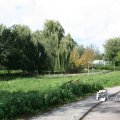 IMG_821905