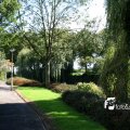 IMG_821909